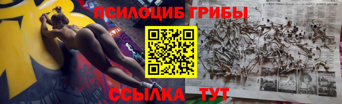 Галлюциногенные грибы прущие грибы  Галлюциногенные грибы мухоморы  Осинники  Вход с VPN 